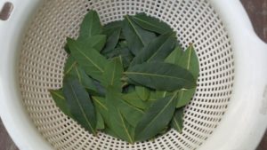 カレーの葉っぱの名前はローリエ ローレル 食べるのか 効果 タイミング 食生活研究所 食 ラボ