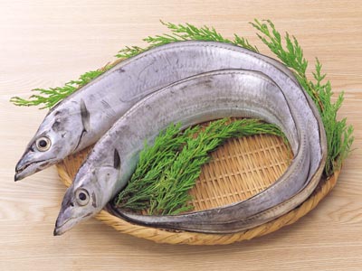太刀魚の旬の時期 季節はいつ 産地はどこか 栄養や鮮度の見分け方も 食生活研究所 食 ラボ