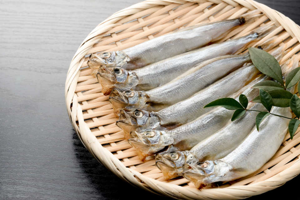 ししゃものオス（雄）の卵や子持ち、うまい？メスの見分け方もカロリーも | 食生活研究所 -食☆ラボ-