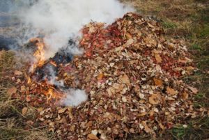 焼き芋の焚き火のやり方 作り方 時間や台 甘くなるコツ 包み方も 食生活研究所 食 ラボ 焼き芋の焚き火のやり方 作り方 時間や台 甘くなるコツ 包み方も 食生活研究所 食 ラボ