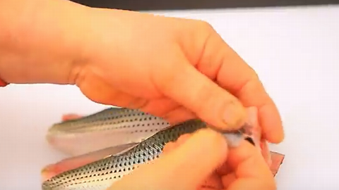 コノシロの刺身の捌き方と切り方 動画や味 食べ方のおすすめも 食生活研究所 食 ラボ