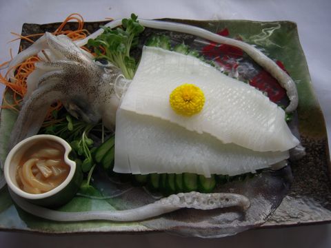 アオリイカの刺身の捌き方と切り方 味や動画 食べ方のおすすめも 食生活研究所 食 ラボ
