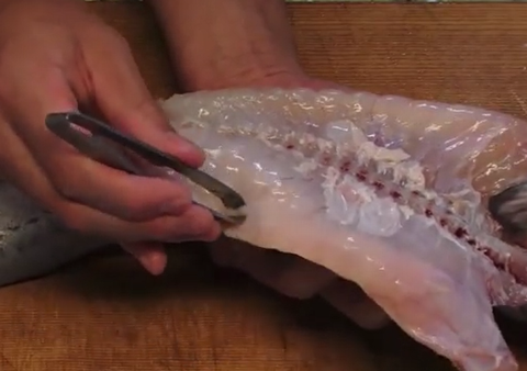 鱈の刺身の捌き方 切り方と動画 寄生虫の危険は 食べ方のおすすめも 食生活研究所 食 ラボ