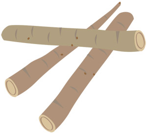 ごぼうが赤いけど食べられる ピンク色の場合や日持ち 賞味期限も 食生活研究所 食 ラボ