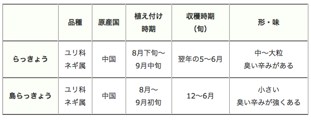 らっきょうの収穫の時期はいつ 種類ごとのタイミングの違いや保存方法も 食生活研究所 食 ラボ