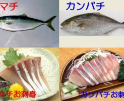 魚の違い 食生活研究所 食 ラボ