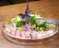 刺身 食生活研究所 食 ラボ