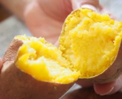 さつまいも 食生活研究所 食 ラボ