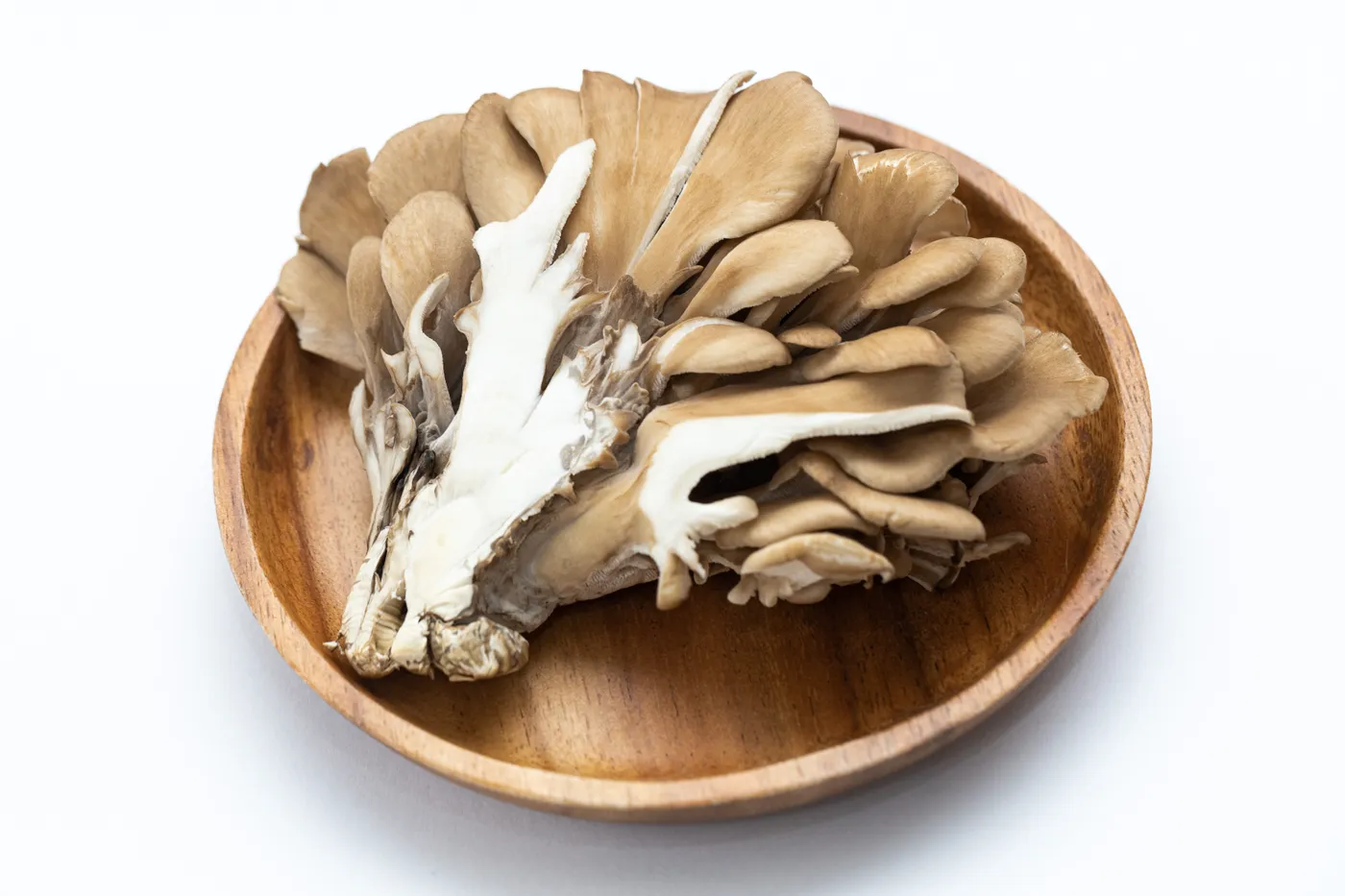 冷凍に向かないきのこはあるの きのこは冷凍した方が断然美味しい 食生活研究所 食 ラボ